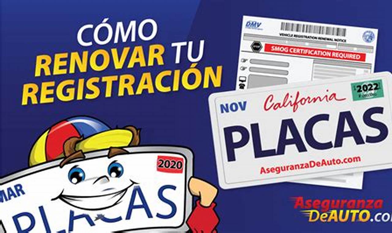 renovación de sticker de placas cerca de mi