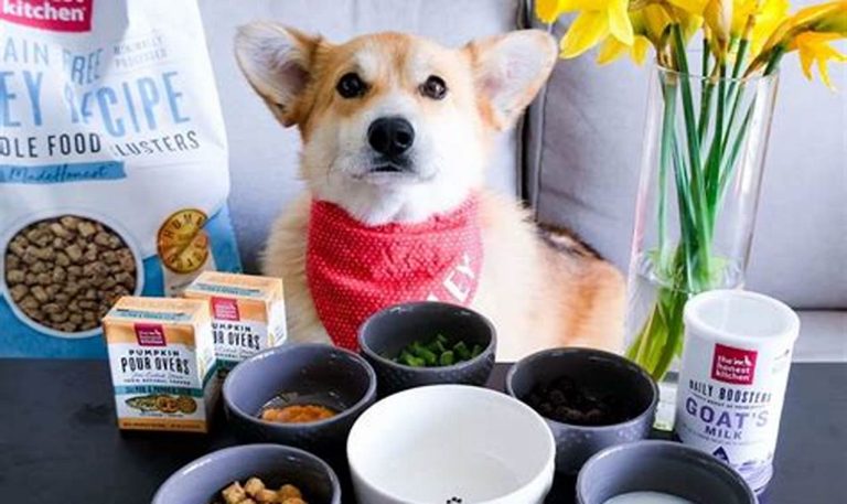 the honest kitchen dog food reviews