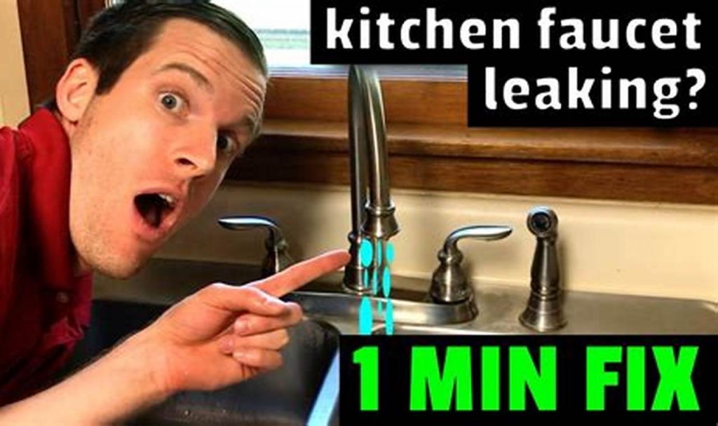how to repair a leaking kitchen faucet